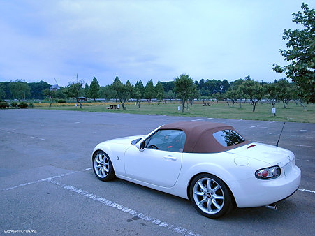 _0010395tj