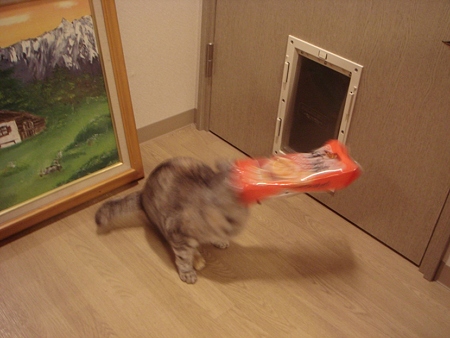 DSC04432