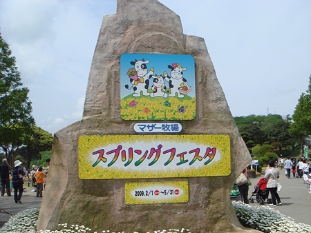 DSC04935