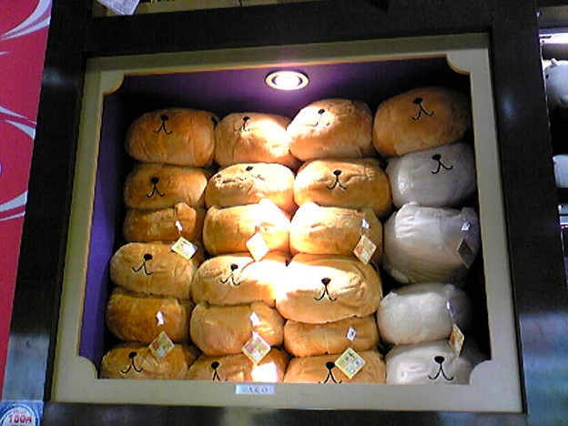 カピバラさんの箱詰め。