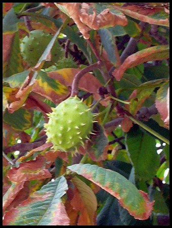 P1680281