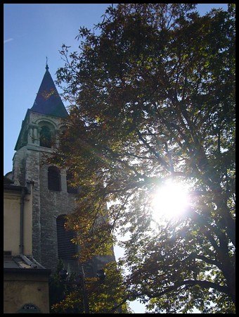 P1710769
