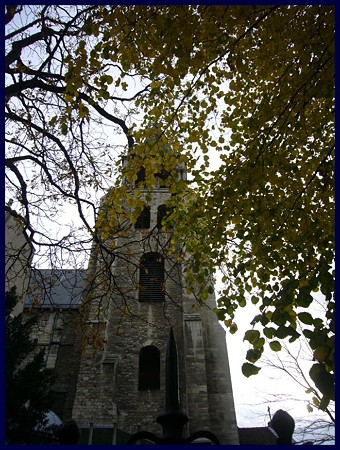 P1810385