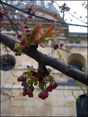 P1930435