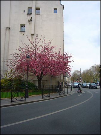 P1950426