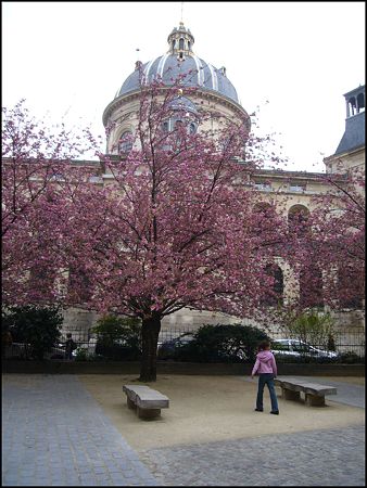 P1950414