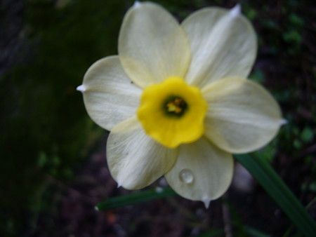 048