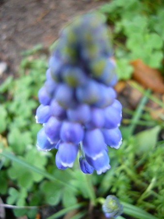 045