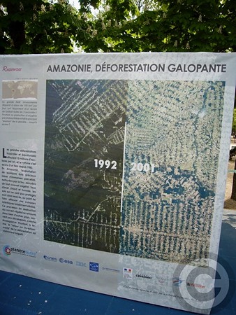 P1530553