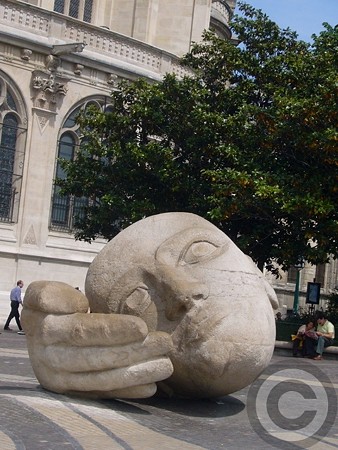P1550459