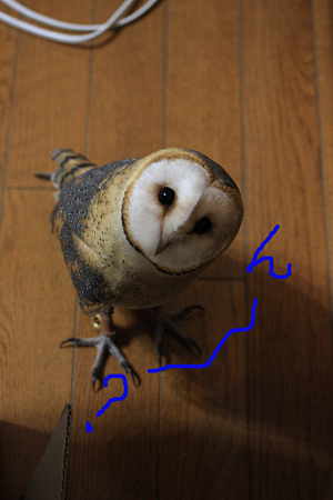 mame H21.3.30 ん??