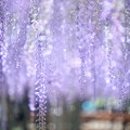 Photos: 10