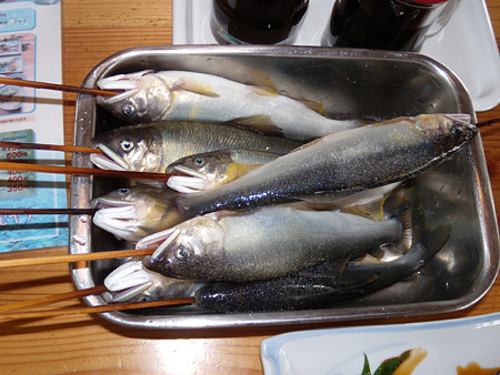 生鮎