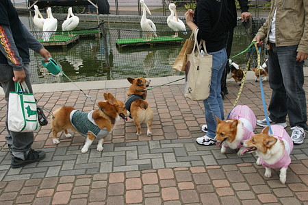 DSC02301
