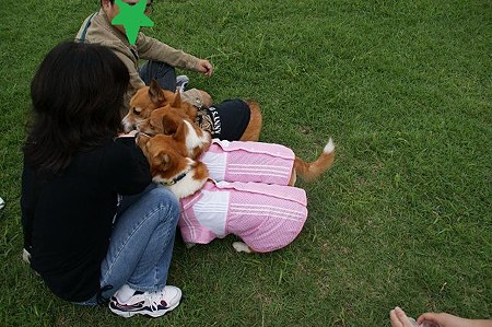 DSC02561