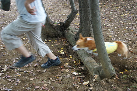 DSC02641