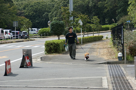 DSC02941
