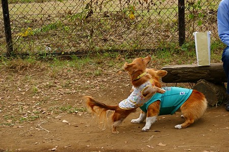 DSC03399