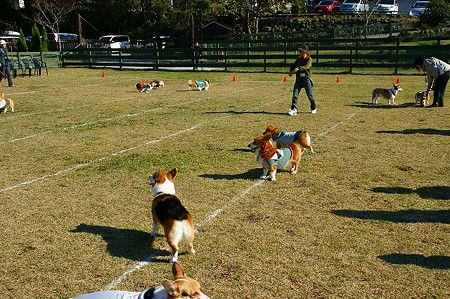 DSC03500