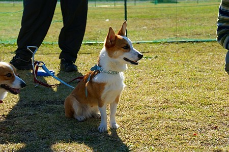DSC03509