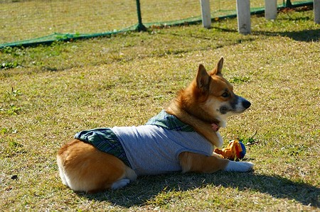 DSC03510