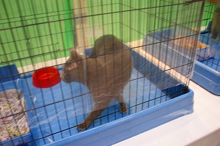 DSC05144
