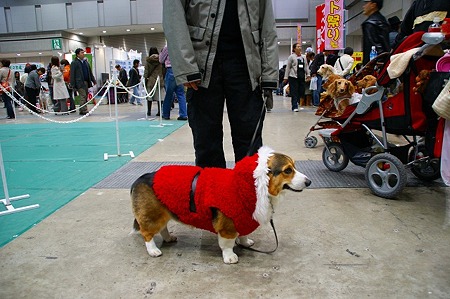 DSC05231