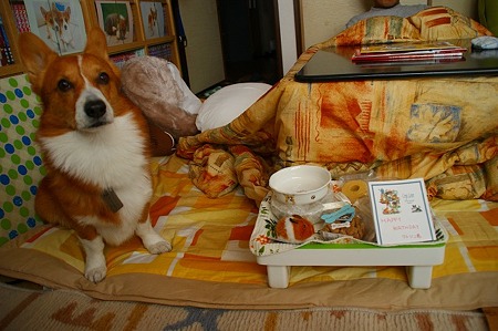 DSC05493