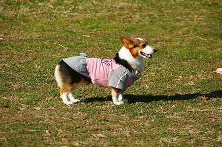 DSC05665