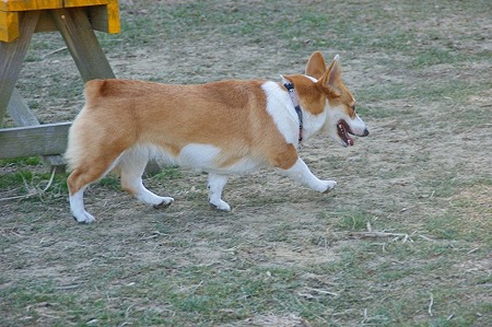 DSC05690