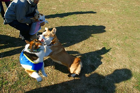 DSC05709
