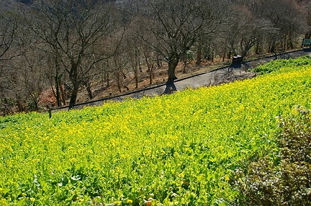 DSC06354