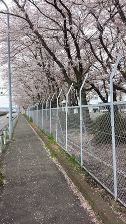 20140405_131525