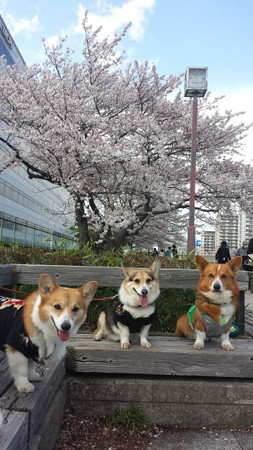 20140405_144655