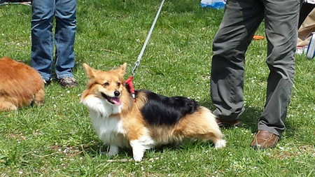 20140406_112448