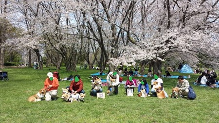 20140406_112943