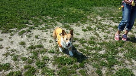 20140427_132359