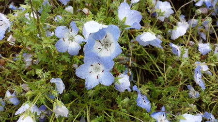 20140506_110401