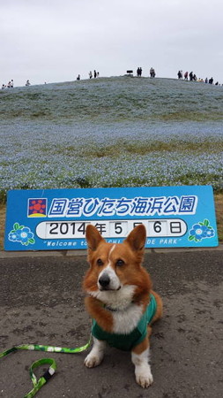 20140506_120130
