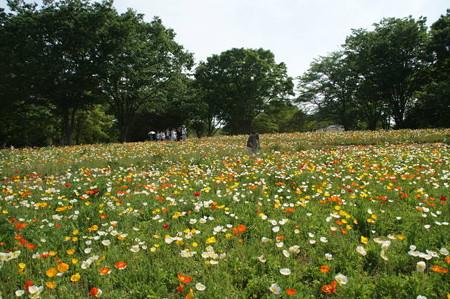 DSC03325