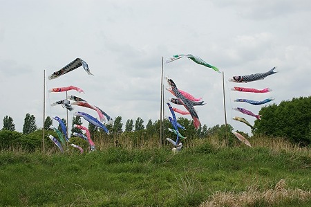 DSC08003
