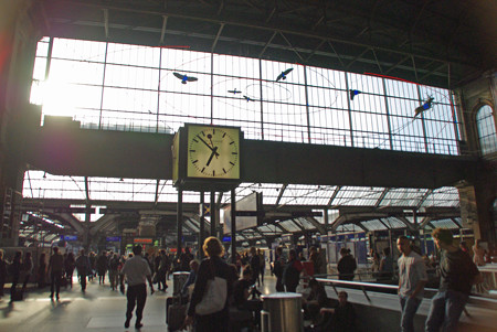IMGP6880