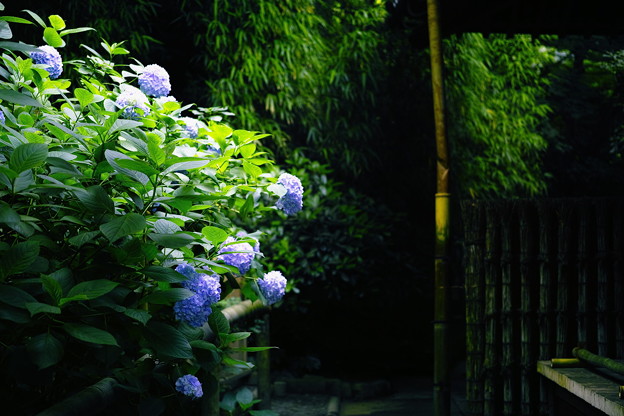 SDIM1282