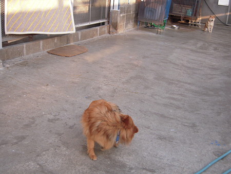 DSCN4113