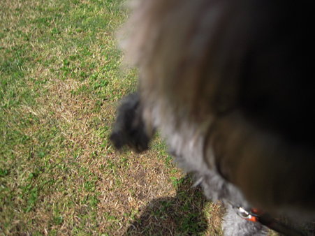DSCN4340