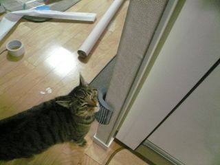 猫用クロス張替え08