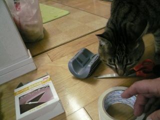 猫用クロス張替え04