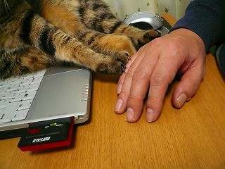 みーちゃんP1070885