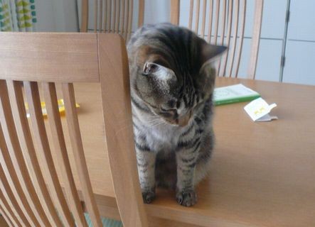 なにしてんの