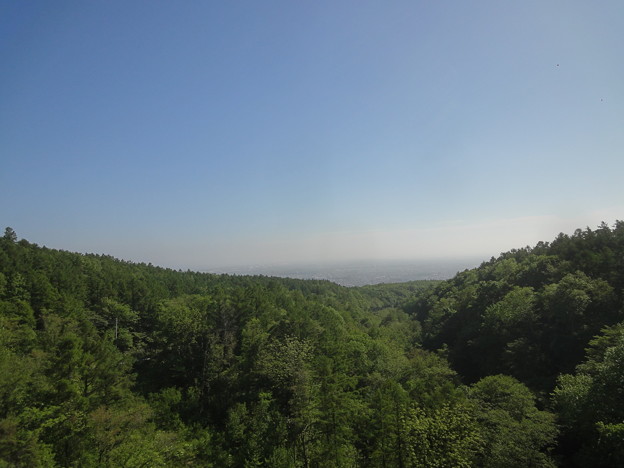 DSC02954